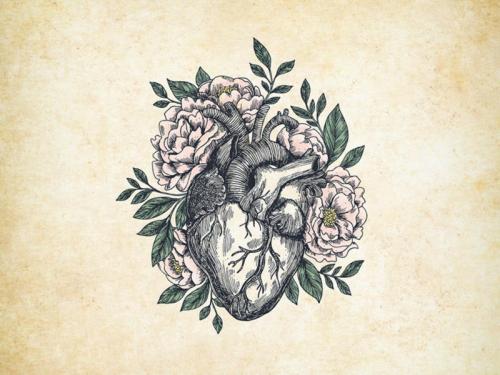 Appalachian Road Show 'Della Jane's Heart' (album cover artwork)